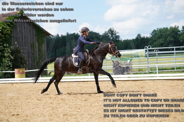 s_K3F06652.JPG